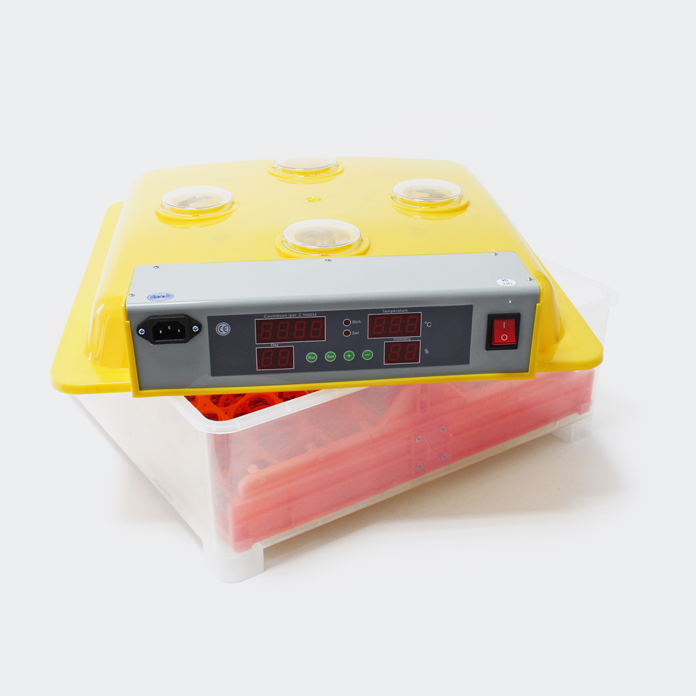 Automatische Brutmaschine WQ-36 Inkubator