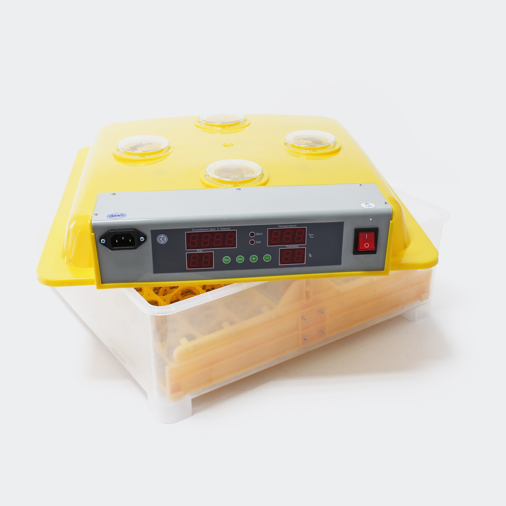 Automatische Brutmaschine WQ-56 Inkubator