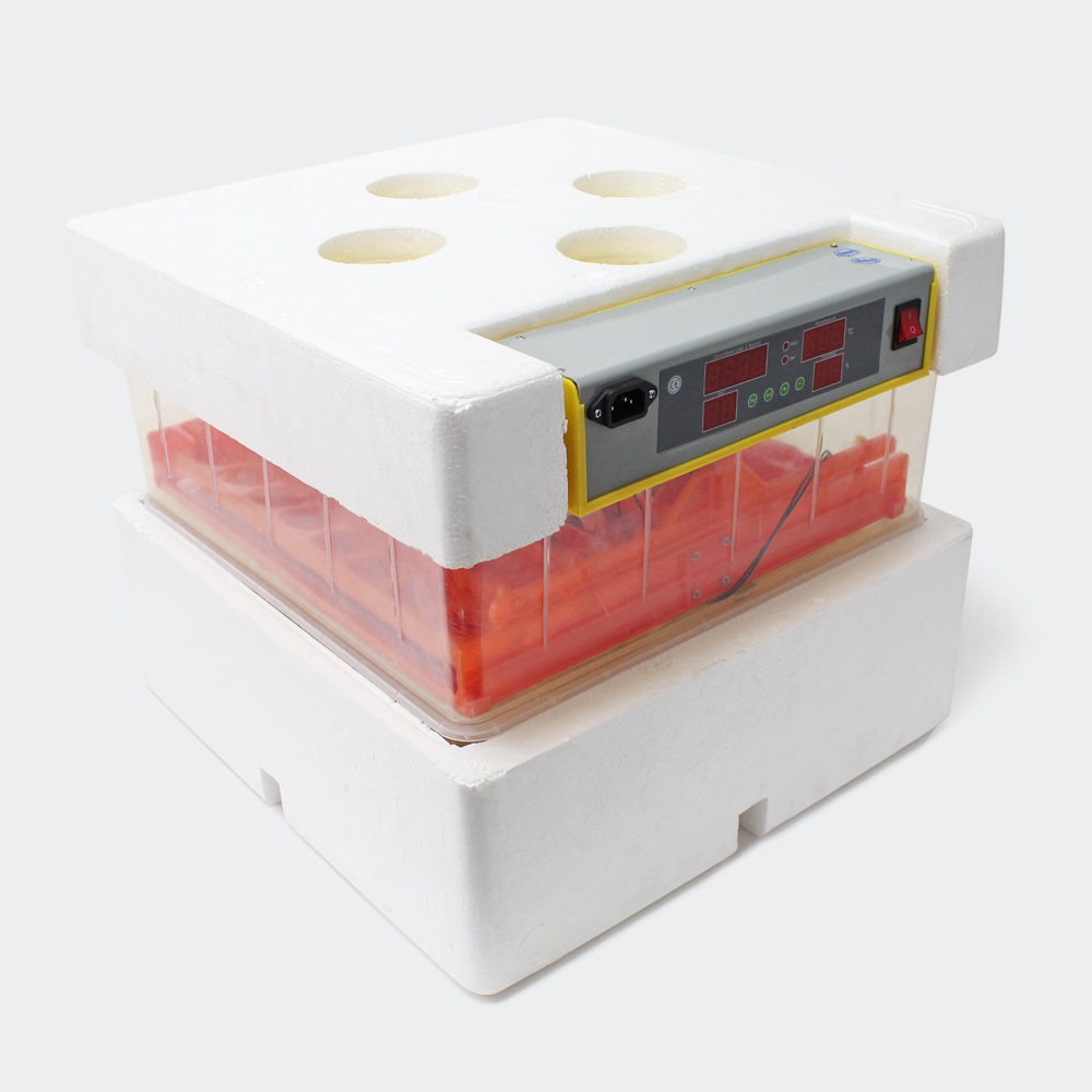 Automatische Brutmaschine WQ-72 Inkubator
