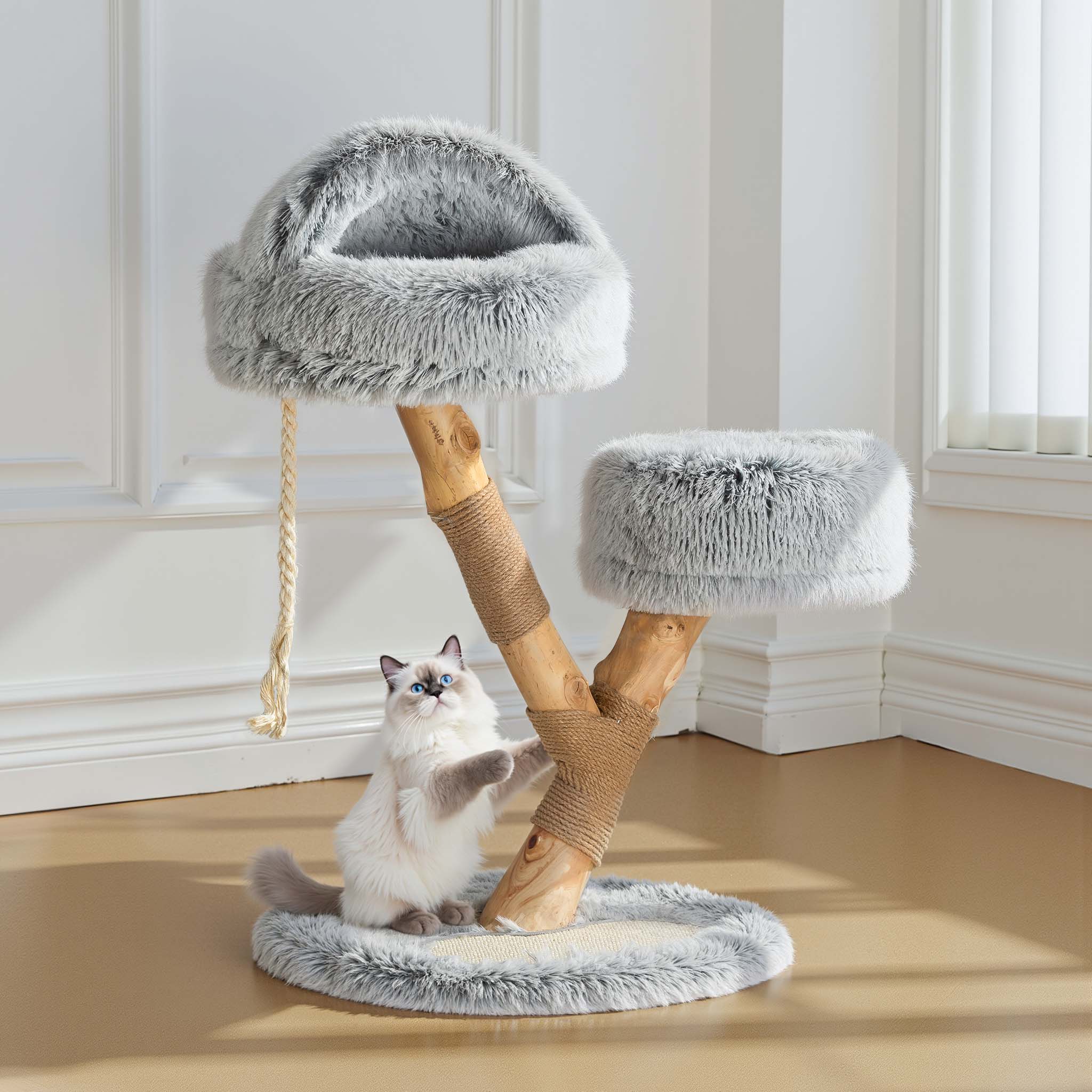 welches trockenfutter für katzen Insekten-Trockenfutter für ausgewachsene Katzen main image 0